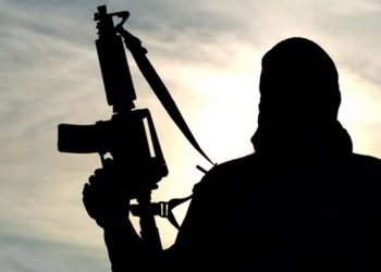 Украина не поставляла оружие террористам ИГИЛ