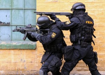 Задержанные в Венгрии «боевики» оказались коллекционерами