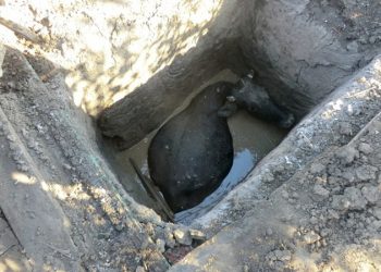 Пенсионер в Днепропетровской области упал в яму и пробыл там три дня