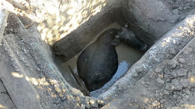 Пенсионер в Днепропетровской области упал в яму и пробыл там три дня