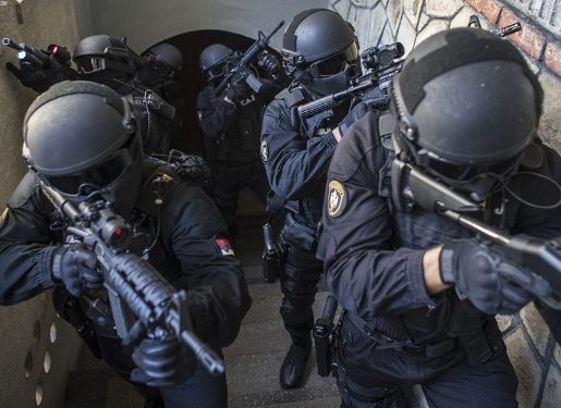 В Сербии арестованы почти 80 человек по самому крупному коррупционному делу