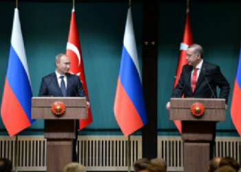 В Турции хотят открыть дело против Путина