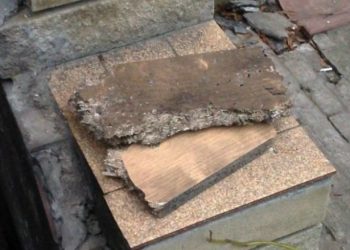 В сети появились первые снимки последствий ночного взрыва в Харькове