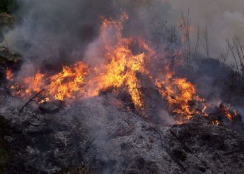 В горах Франции сгорели 900 га леса
