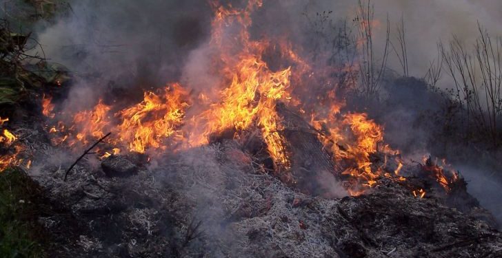 В горах Франции сгорели 900 га леса