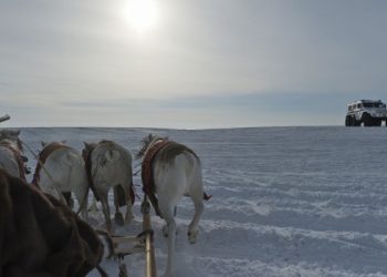 Топ-менеджеров «Газпрома» убили во время охоты на Ямале, - СМИ