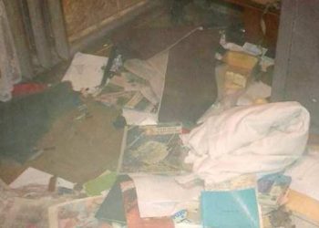 В Донецке разгромили дом активистки, сочувствующей Савченко