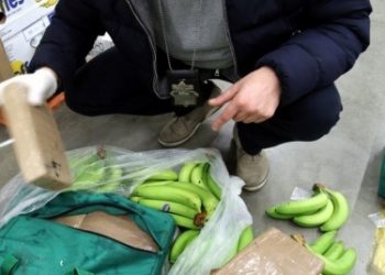В Польше изъяли рекордную партию кокаина