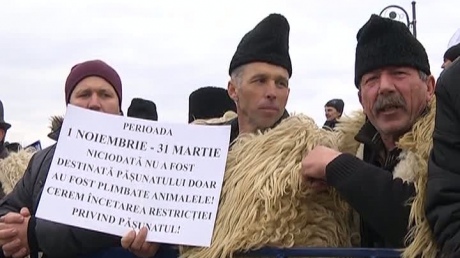 Разъяренные пастухи ворвались в парламент Румынии