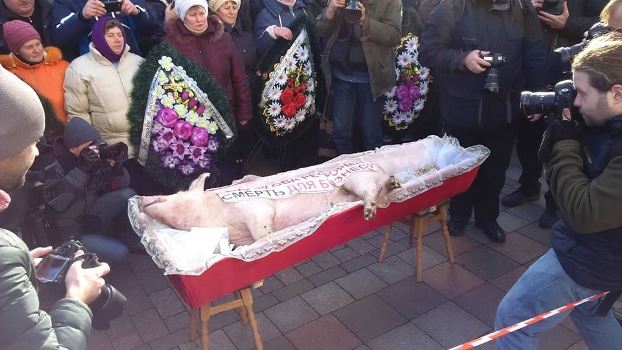 Митинг аграриев, собравшихся возле ВР Украины, не обошелся без потасовки с оперативниками. Об этом двадцать четвёртого декабря сообщают СМИ. Потасовка произошла после того, как митингующие попытались пронести свинью в гробу в помещение парламента. Сейчас у здания Рады находятся около двухсот аграриев. Они выступают против законопроекта, отменяющего специальный режим НДС, который собираются принять нардепы. Участники акции держат в руках плакаты со слови: "Не дадим уничтожить Украину!", "Нет села - нет государства!".