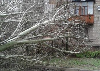 В Одессе из-за непогоды погиб человек