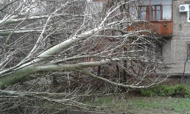 В Одессе из-за непогоды погиб человек