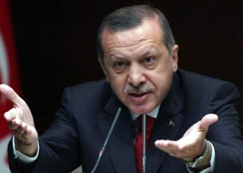 Президент Турции резко высказался о действиях России в Сирии, вспомнив Грузию и Украину