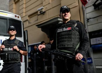 Задержаны в Турции россияне не живут в РФ на протяжении нескольких лет