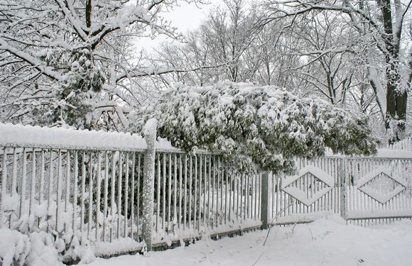 В Киеве возле ботанического сада неизвестный ранил ножом юношу