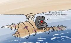 Парламент Крыма обвинил Украину в «геноциде», - СМИ