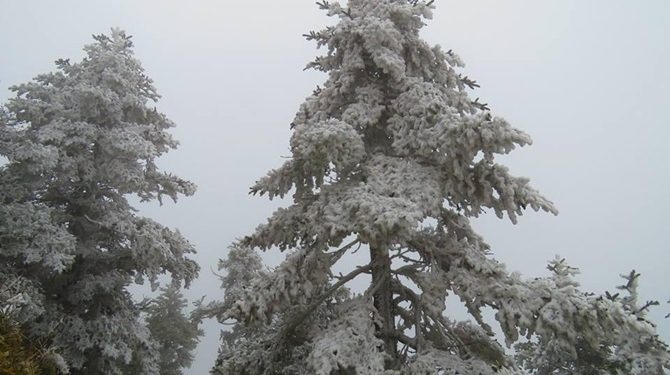 В Китай пришли рекордные морозы, - пресса
