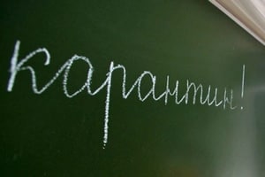 В феврале учебные учреждения Киева могут закрыть из-за нового вируса