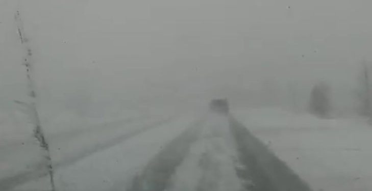 В Кировоградской области запретили движение автобусов