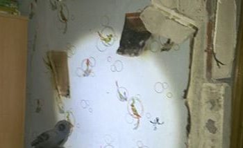 В Мариуполе прогремел взрыв в жилом доме, пострадали женщина и ребенок