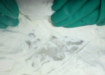 Оперативники изъяли два мешка наркотиков в Донецкой области