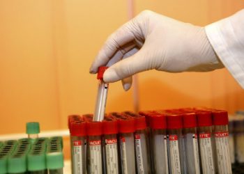 Первый случай заражения вирусом Зика зафиксировали в США