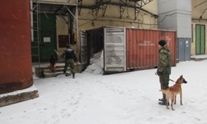 Полиция задержала 134 участника потасовки на фабрике «Житомирські ласощі»