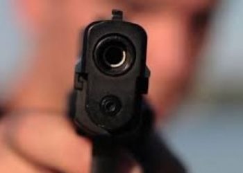 На западе США мужчина расстрелял свою семью и совершил суицид