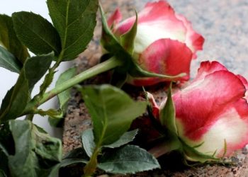Польский режиссер Анджей Жулавский умер от рака