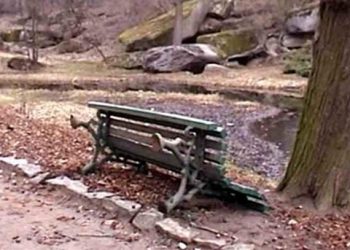 В Умани вандалы устроили погром в парке «Софиевка»