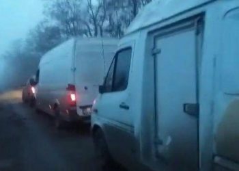 В зоне АТО задержали контрабанду сыра на 700 тыс. грн