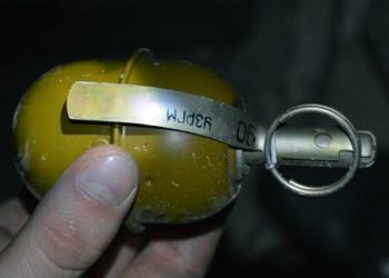 В Одесской области на территории учебного учреждения нашли две гранаты