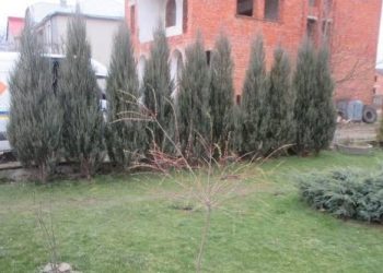 Ночью неизвестные бросили гранату во двор львовского бизнесмена