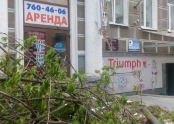 В Харькове на девушку упало дерево