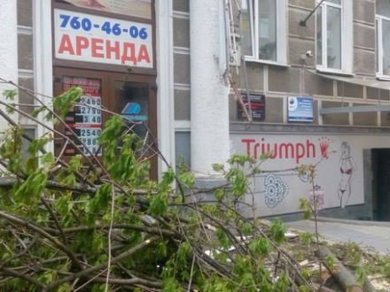 В Харькове на девушку упало дерево