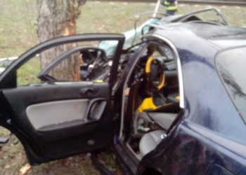 Под Киевом иномарка врезалась в дерево, есть пострадавшие