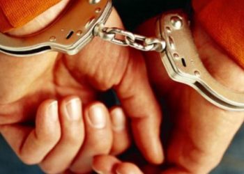 СБУ разоблачила полицейского и лесника, которые покрывали вырубку леса