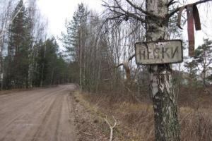 В прифронтовых Песках осталось 13 жителей