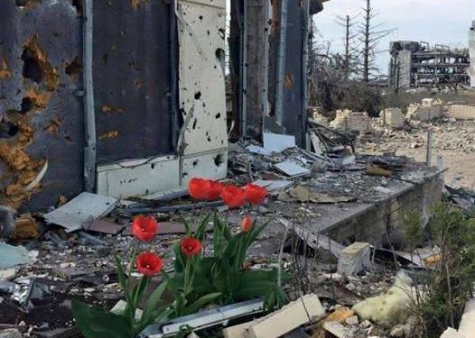 На руинах ДАП расцвели тюльпаны: жизнь продолжается