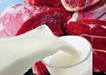 Импорт украинской продукции в Молдову ограничен