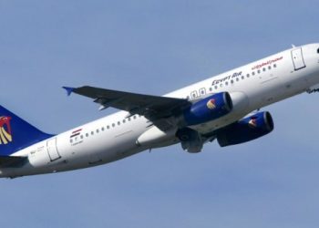 В Минавиации Египта предполагают, что самолет MS804 разлетелся в небе на части