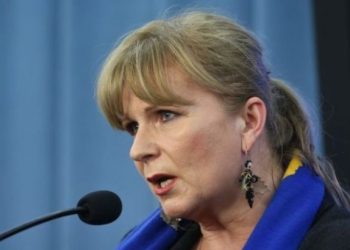 Доклад польского депутата о преступлениях на Донбассе приняли в суде Гааги