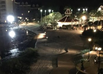 Аллигатор утащил двухлетнего мальчика в парке развлечений Disney World во Флориде