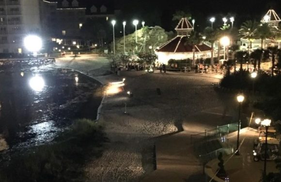 Аллигатор утащил двухлетнего мальчика в парке развлечений Disney World во Флориде