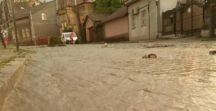 Черновцы превратились в маленькую Венецию