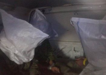 В сети появилось фото захваченных в плен боевиков