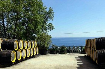 Крымская «Массандра» планирует поставлять вино боевикам