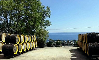 Крымская «Массандра» планирует поставлять вино боевикам