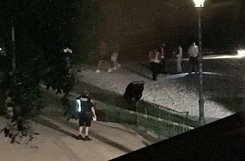 Из-за мальчика, пропавшего в Диснейленде, убили четырех аллигаторов