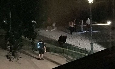Из-за мальчика, пропавшего в Диснейленде, убили четырех аллигаторов
